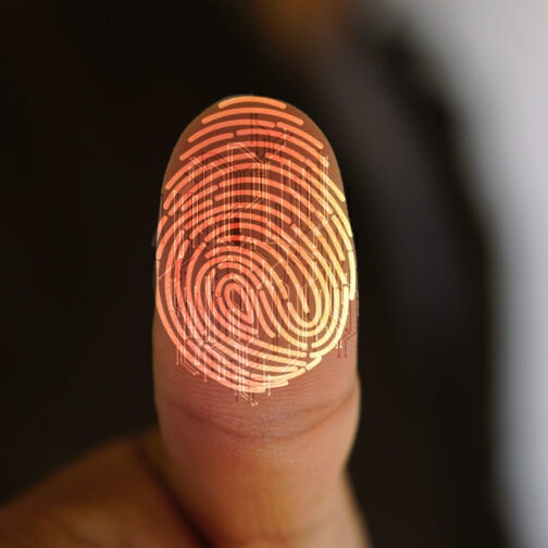 Fingerprint